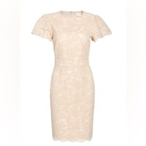 Rachel Parcell Lace Sheath Dress